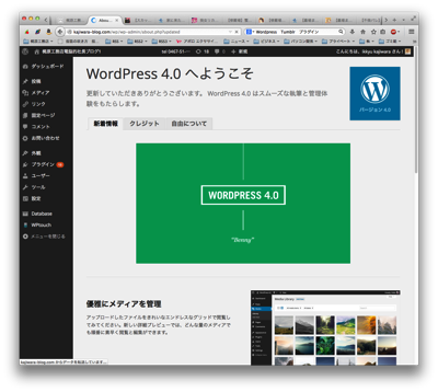 Wordpress 4.0